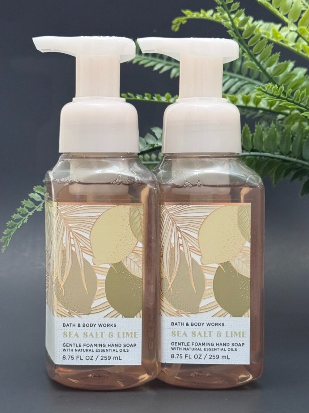 Bath & Body Works BBW Sea Salt & Lime Gentle Foaming Hand Soaps X 2